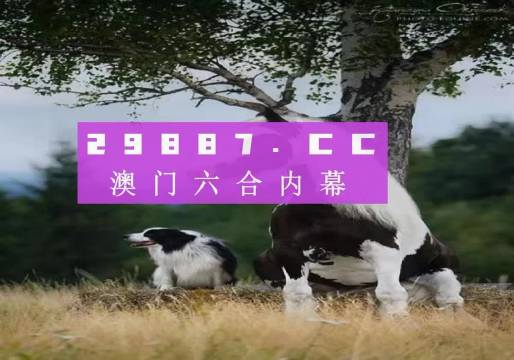 澳门今晚开正版四不像|全面释义解释落实 高效版250.370