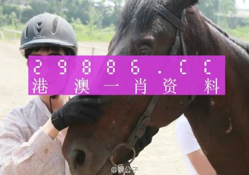 澳门一肖一码一l必开一肖|全面释义解释落实 超级版230.314