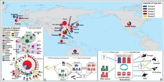 世界疫情最新数据图分析