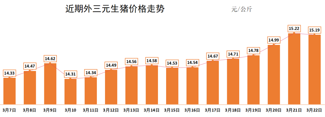 最新猪价预测下半年趋势分析