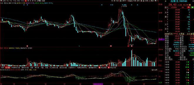 高测股份最新消息全面解析