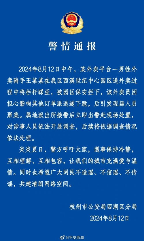 最新警察法律法规，构建公正、高效的社会治安秩序