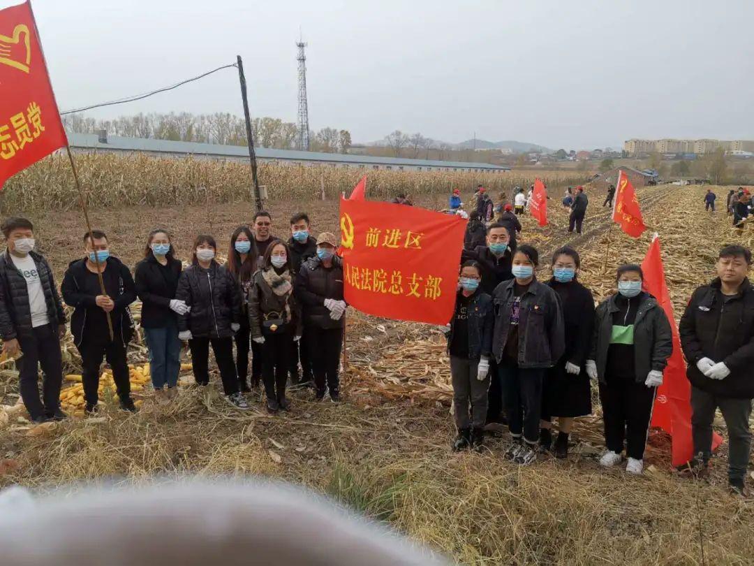 佳木斯台风预报最新消息