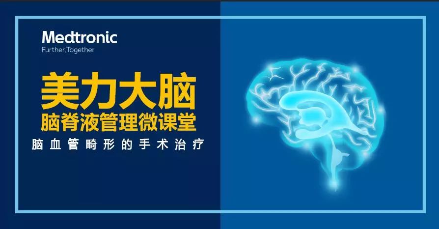 脑裂最新版本的深度解析与应用展望