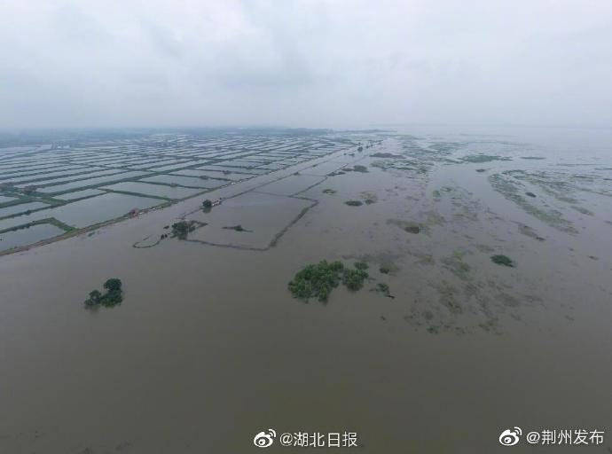 湖北监利洪水最新消息，全力应对，守护家园