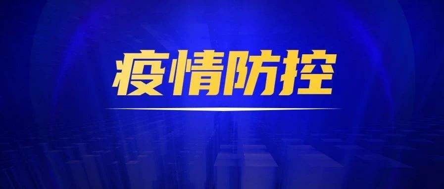 最新一轮融资公司的崛起与挑战